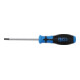 BGS Schroevendraaier | T-profiel (voor Torx) T27 | Meslengte 100 mm-1