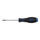 BGS Schroevendraaier | T-profiel (voor TX) met boring T10 | Meslengte 80 mm-1