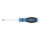 BGS Schroevendraaier | T-profiel (voor TX) met boring T8 | Meslengte 80 mm-3