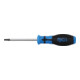 BGS Schroevendraaier | T-profiel (voor TX) T20 | Meslengte 80 mm-1