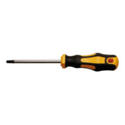BGS Schroevendraaier | T-profiel (voor TX) T30 | Meslengte 100 mm-1
