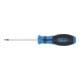 BGS Schroevendraaier | T-profiel (voor TX) T6 | Meslengte 80 mm-3
