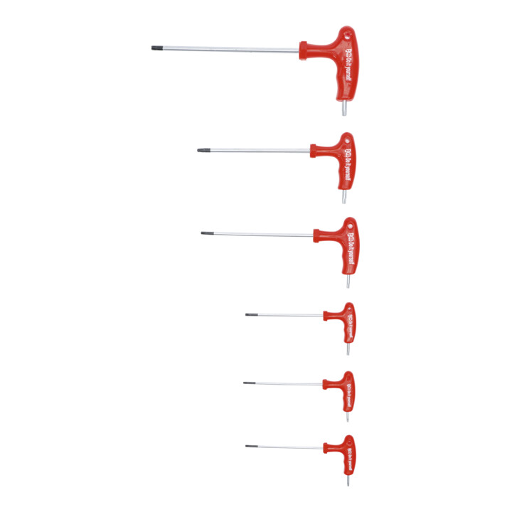BGS Schroevendraaierset met T-greepen zijstift | T-profiel (voor TX) met boring T10 - T40 | 6-dlg.