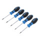 BGS Schroevendraaierset T-profiel (voor Torx) T6 - T10 5 dlg. 6828-1