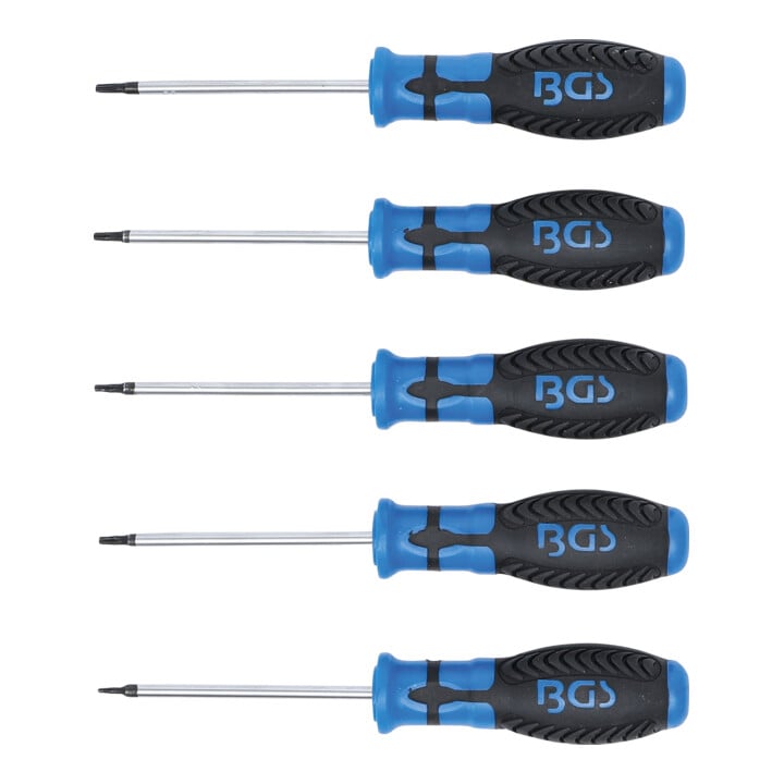 BGS Schroevendraaierset T-profiel (voor TX) met gat T6 - T10 5 dlg. 6826