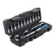 BGS Set chiavi dinamometriche, attacco quadrato esterno 6,3 mm (1/4"), 3 - 24 Nm, 16 pezzi-2