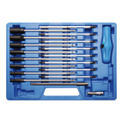 BGS Set di cacciaviti con impugnatura a T e bussole, 19pz.