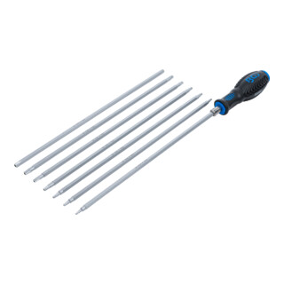 BGS Set di cacciaviti con lame intercambiabili profilo T (per TX) / profilo TS (per TX Plus), 8pz.
