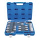BGS Set di inserti per bit per autoveicoli speciali, 38pz.-1