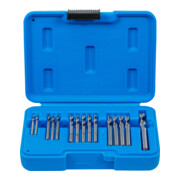 BGS Set di punte per rivetti ciechi HSS 2,4 - 6,4mm, 15pz.