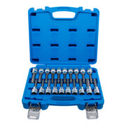 BGS Set inserti bit, attacco quadrato interno 12,5 mm (1/2"), esagono interno, profilo a T (per TX), profilo interno multiplo (per XZN) con testa a sfera, 20 pezzi