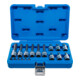 BGS Set inserti bit, attacco quadro interno 6,3 mm (1/4") / 12,5 mm (1/2"), profilo a T (per TX) con foro, 18 pezzi-1