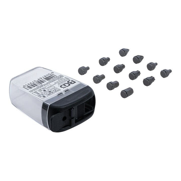 BGS Set speciale-bits | 6,3 mm (1/4") | voor BGS 115