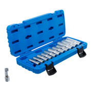 BGS Speciale dopsleutelset met sleuf | 10 mm (3/8") | 5 - 19 mm | 12-dlg.-4