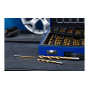 BGS spiraalboorset HSS titaan-genitreerd 1 - 10 mm, 170 dlg.-2