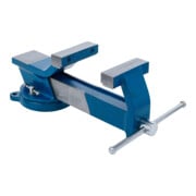 BGS Stalen bankschroef | gesmeed | 100 mm spanbekken-4