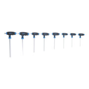 BGS T-greep steeksleutelset binnenzeskant 2 - 10 mm 8 delig-4