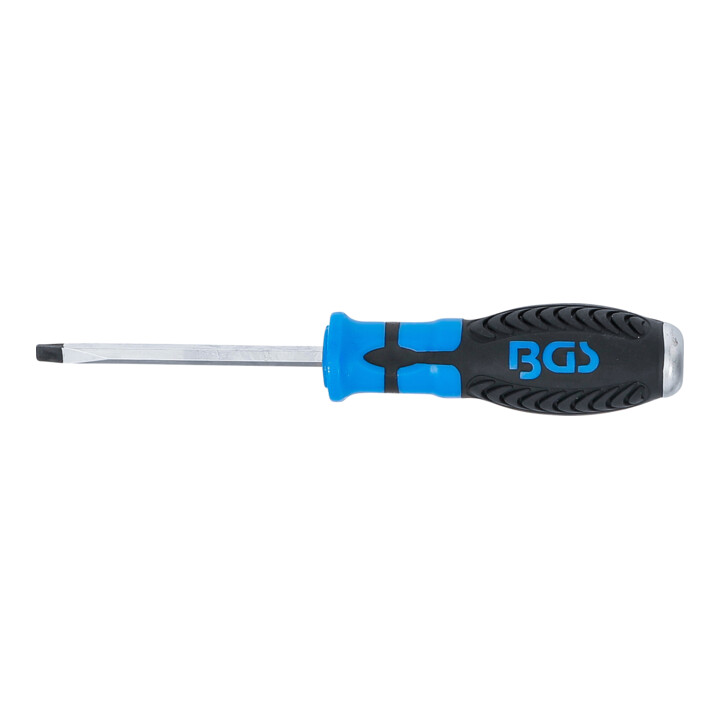 BGS Tournevis fente 5 mm longueur de la lame 75 mm