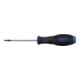 BGS Tournevis profil T (pour Torx) avec perçage T10 longueur de la lame 80 mm-1