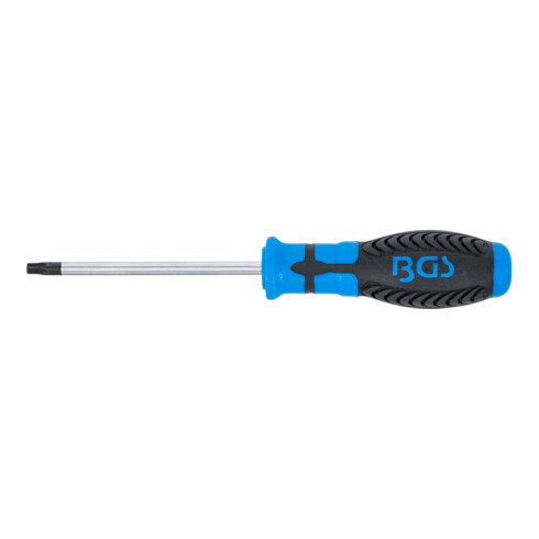 BGS Tournevis profil T (pour Torx) avec perçage T30 longueur de la lame 100 mm
