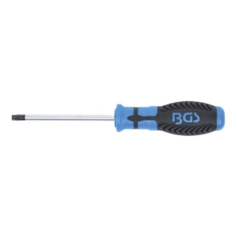 BGS Tournevis profil T (pour Torx) T30 longueur de la lame 100 mm