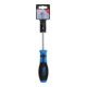 BGS Tournevis profil T (pour TX) avec perçage T25 longueur de la lame 100 mm-3