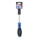 BGS Tournevis profil T (pour TX) T30 longueur de la lame 100 mm