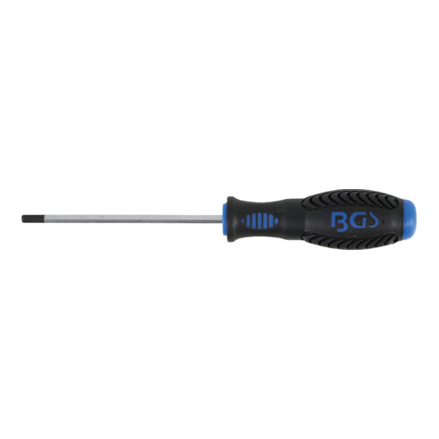 BGS Tournevis six pans intérieurs 4 mm longueur de la lame 100 mm