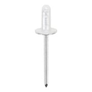 BGS Voertuig-bevestigingsclips voor Audi, VW, Toyota, Mercedes-Benz, BMW | 400-dlg.-5
