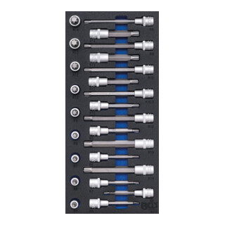 BGS Werkplaatswagen inzet 1/3: Bit inzet set aandrijving binnen vierkant 12,5 mm (1/2 inch) wig profiel (voor RIBE) 25 delig