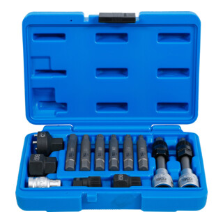 BGS wisselstroomdynamo bit/bit insteekset aandrijving 12,5 mm 13 dlg.