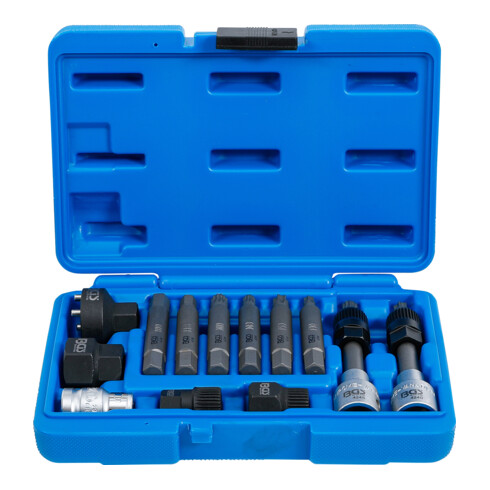 BGS wisselstroomdynamo bit/bit insteekset aandrijving 12,5 mm 13 dlg.