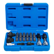 BGS wisselstroomdynamo bit/bit insteekset aandrijving 12,5 mm 13 dlg.