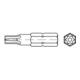 Bits m. PinTorx Aufn. f. ISO 7380 + DIN 7991 M 10 S-1
