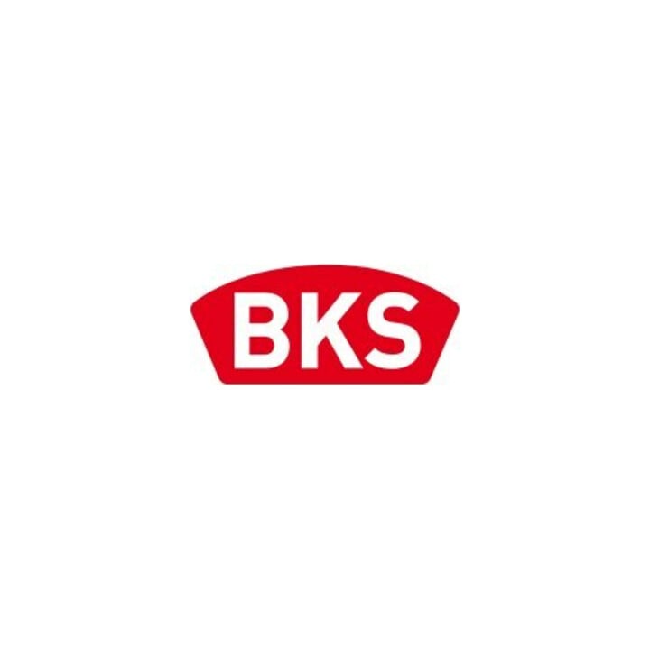 BKS Einsteck-Fallenschloss 20/55/8mm DIN L/R silberf.ktg.