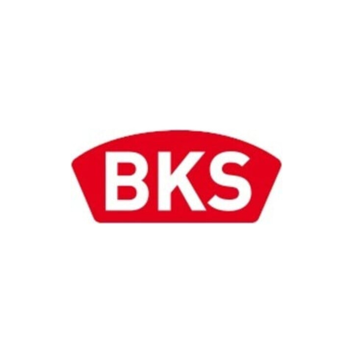 BKS Plaque de sonnerie plate argent rd SP 20mm