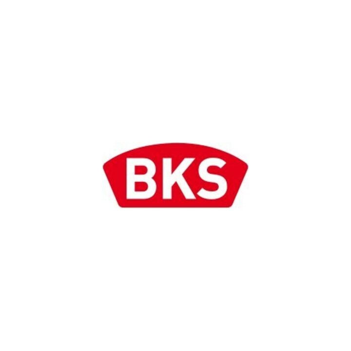 BKS Profil-Doppelzylinder, 8802 BL27/45, N+G eins.