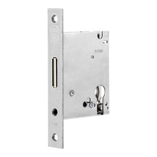 BKS RGS PZ SP 20/55mm SP silber rd