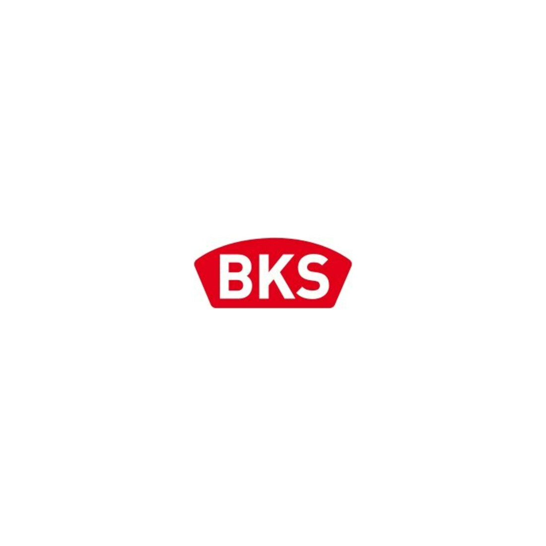 BKS RGS PZ SP 20/55mm SP silber rd