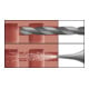 Blister Cheville rallongées FL 6x60 (10 pcs) Celo