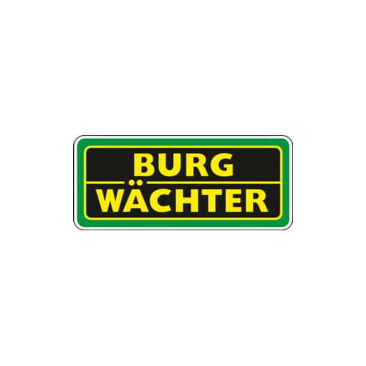 Boîte aux lettres Burg-Wächter en tôle d'acier Daily 5861 E