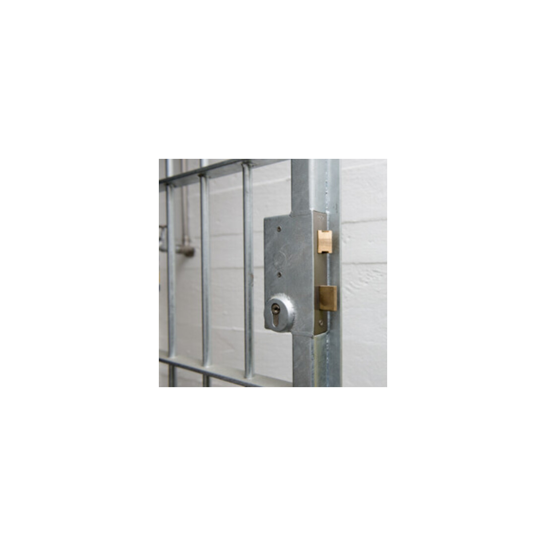 Boîtier de fermeture AMF 140UMVV-40ZW, verrouillage multiple avec serrure galvanisée (142UMV)