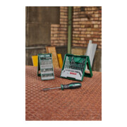 Bosch 25+15+1 Mini-X-Line Set plus Griff-5