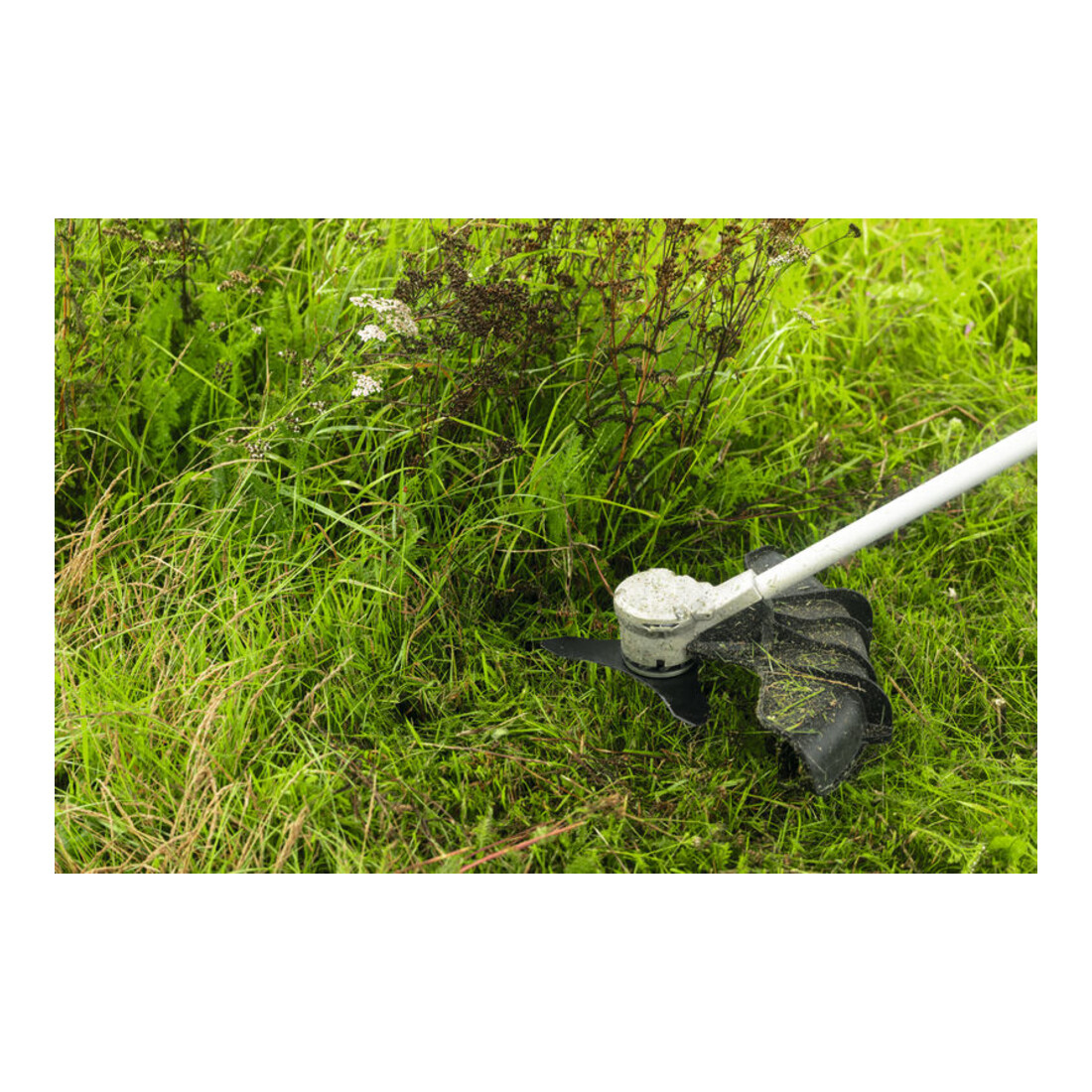 Bosch Accessorio lama per decespugliatore 25 cm 3 denti