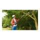 Bosch accu-telescopische takkenschaar UniversalChainPole 18 met 1 x PBA 18V 2,5 Ah accu