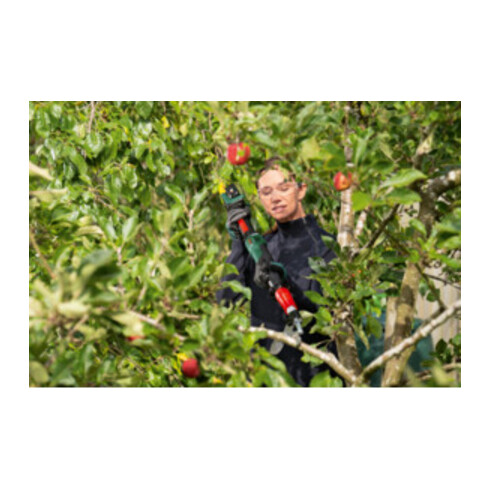 Bosch Akku-Gartenschere AdvancedPrune 18V-45