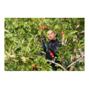 Bosch Akku-Gartenschere AdvancedPrune 18V-45-5