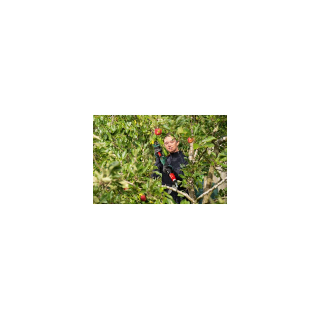 Bosch Akku-Gartenschere AdvancedPrune 18V-45