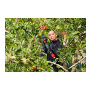 Bosch Akku-Gartenschere AdvancedPrune 18V-45-5
