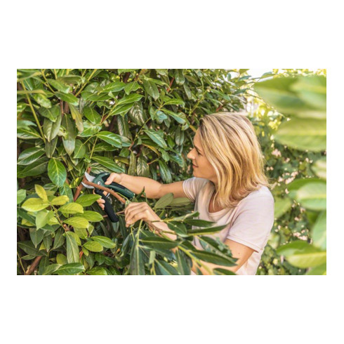 Bosch Akku-Gartenschere EasyPrune